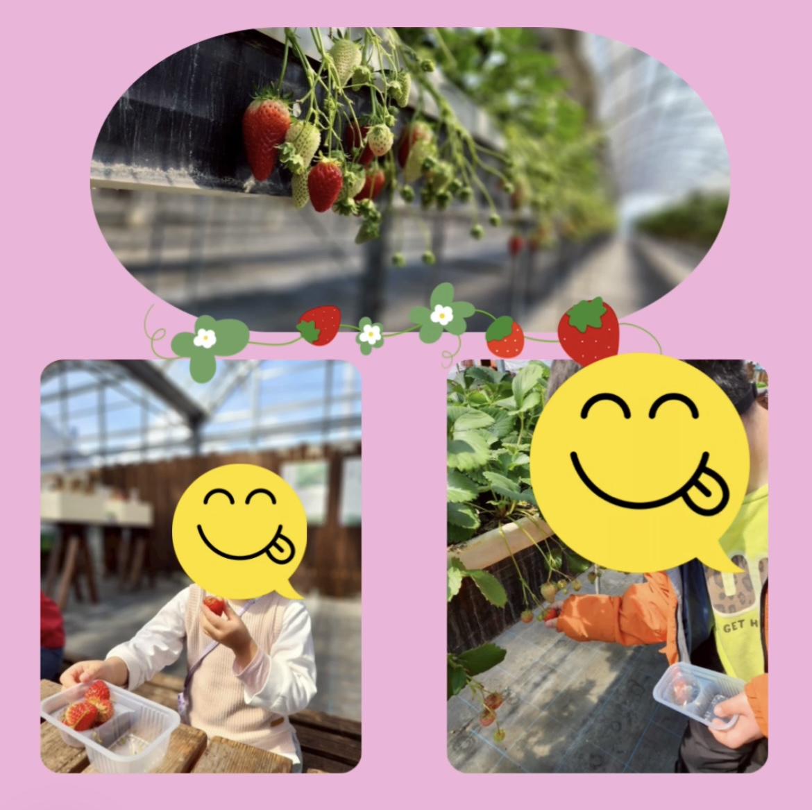 はぴふら4月の活動まとめ