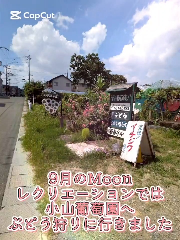 ぶどう🍇狩りに出かけました❣️❣️❣️