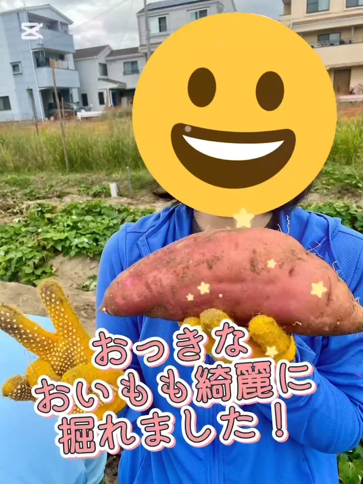 芋掘りに農園まで出かけました🎵🎵