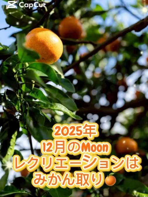 みかん🍊取りに交野の金澤農園さんに出かけました😊
